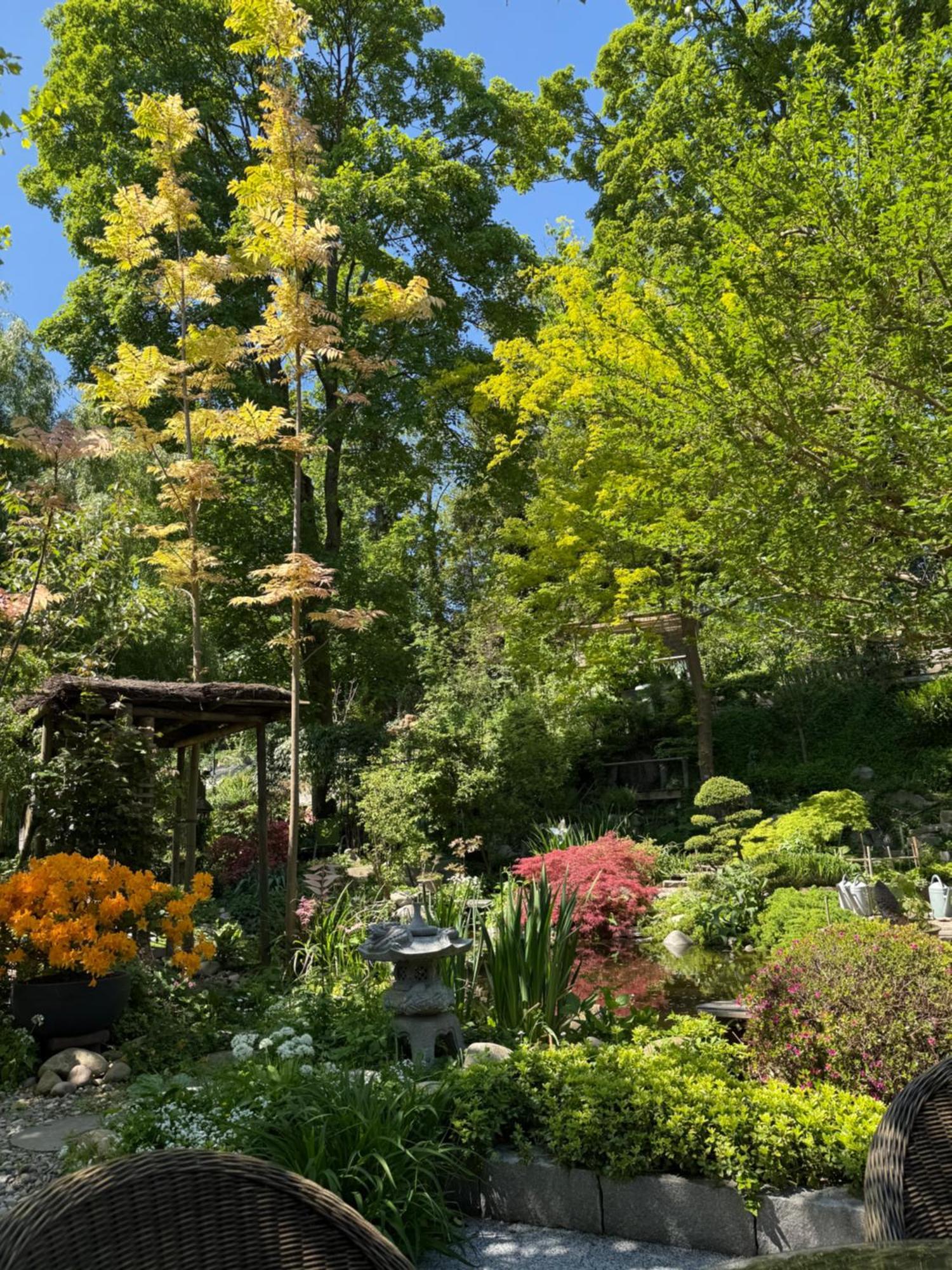 מלון Pfastatt Le Jardin De La Tuilerie Alsace מראה חיצוני תמונה