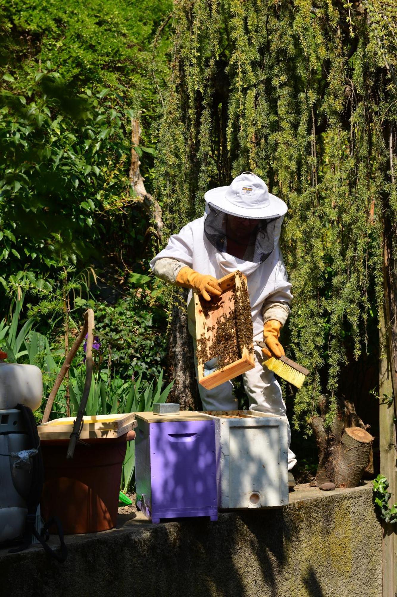 מלון Pfastatt Le Jardin De La Tuilerie Alsace מראה חיצוני תמונה