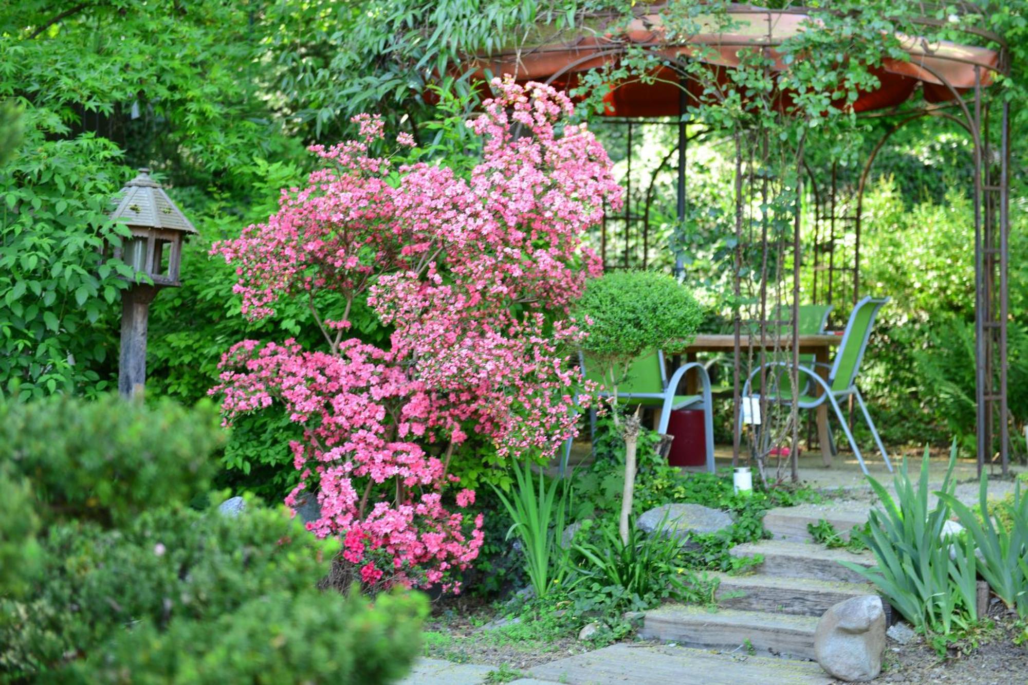 מלון Pfastatt Le Jardin De La Tuilerie Alsace מראה חיצוני תמונה