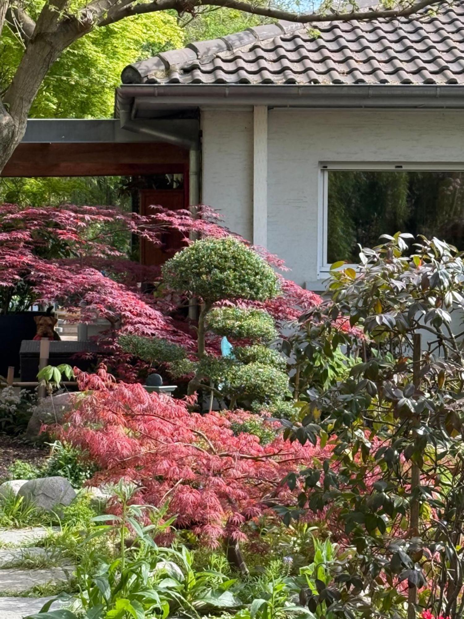 מלון Pfastatt Le Jardin De La Tuilerie Alsace מראה חיצוני תמונה